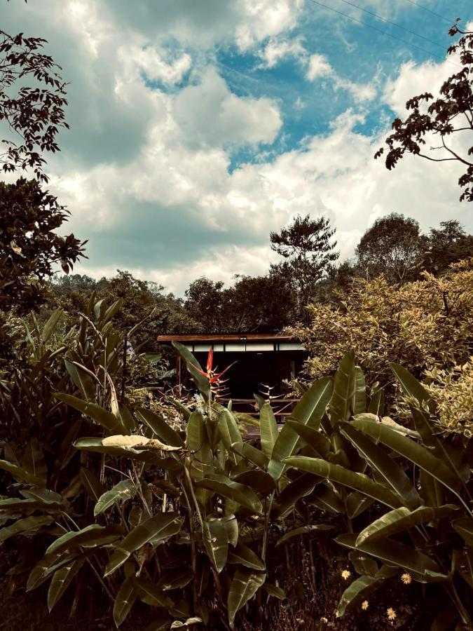Glamping Salento Con Jacuzzi Climatizado Exterior foto